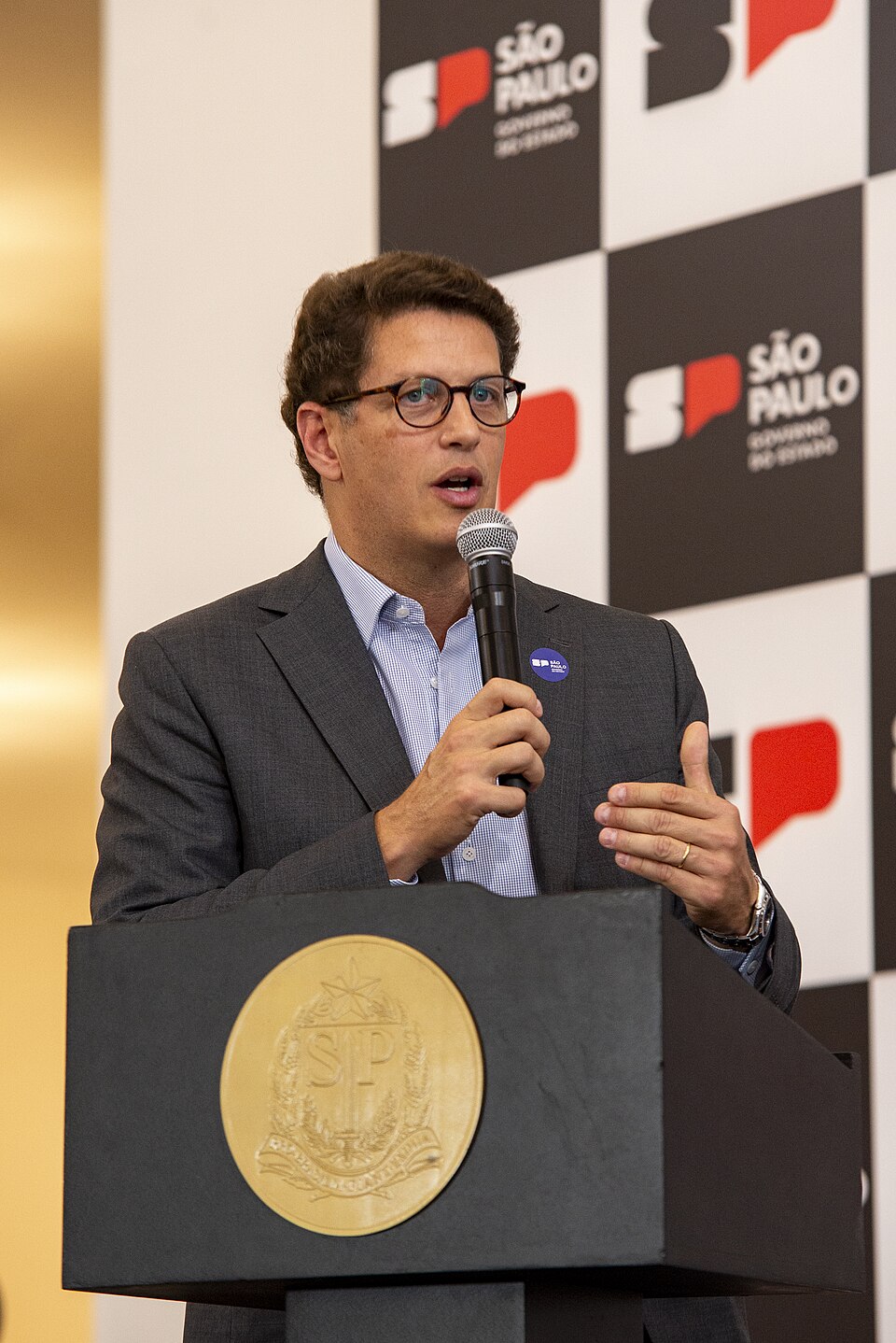 Ricardo Salles